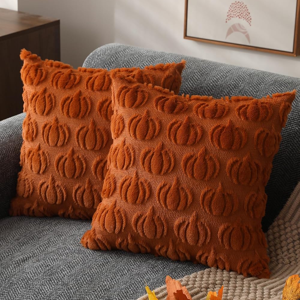 Fall Pillow Covers 18x18 2Pcs Rust Pumpkin Fall Decorations for Home